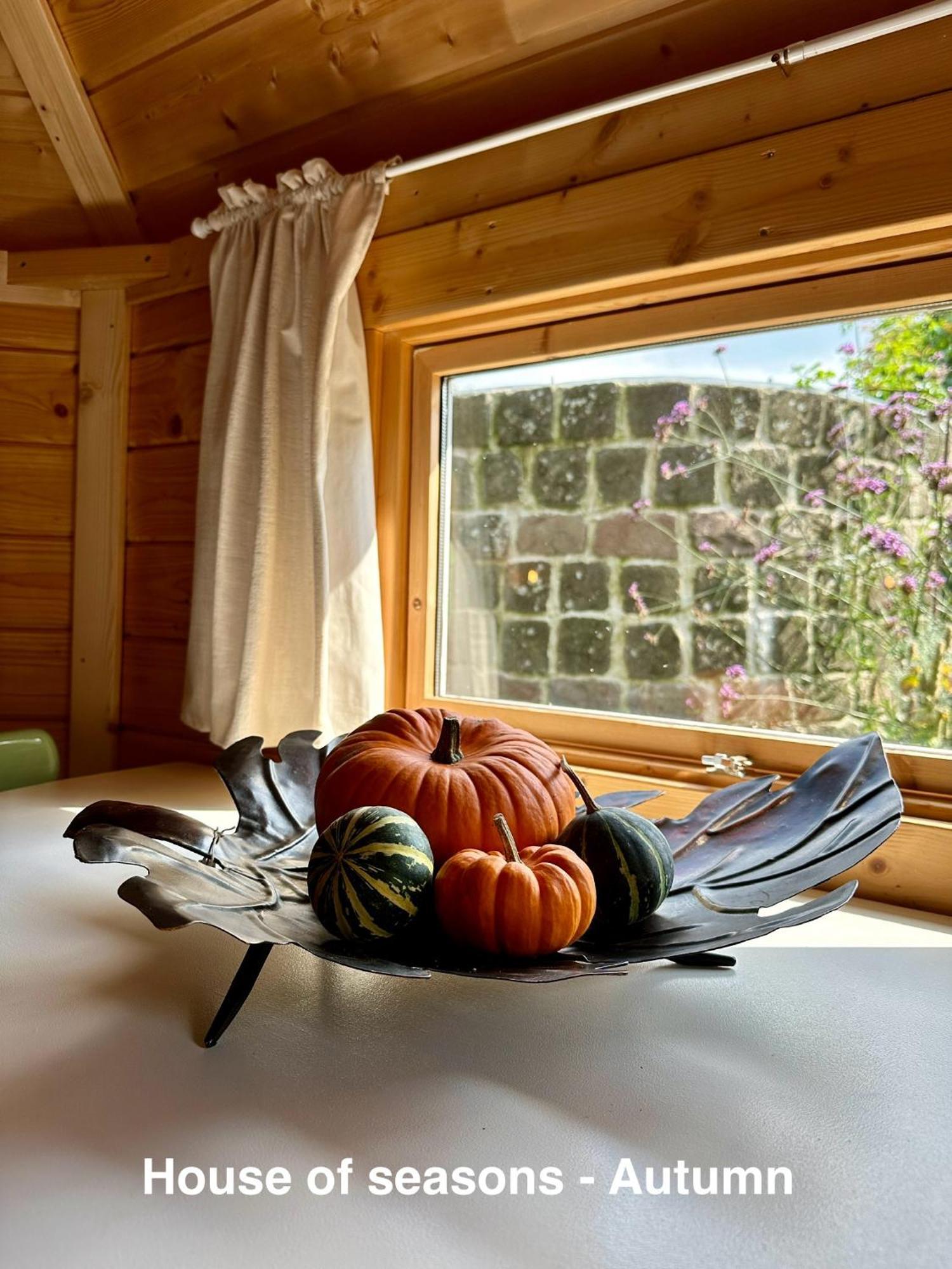B&B Cosy Garden Alblasserdam Pokoj fotografie